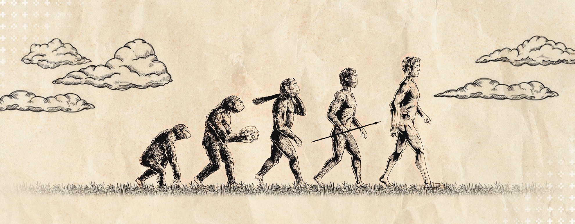 imagem retratando a evolução humana - de um macaco ao homo sapiens