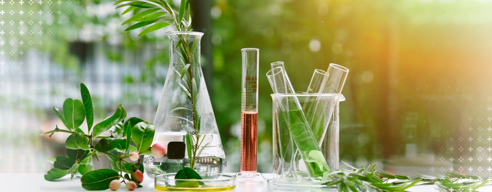 imagem representando a química ambiental - tubos de ensaios e pipetas sobre um fundo verde